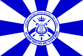 Bandeira da Acadêmicos de Niterói