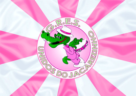 Bandeira da Unidos do Jacarezinho